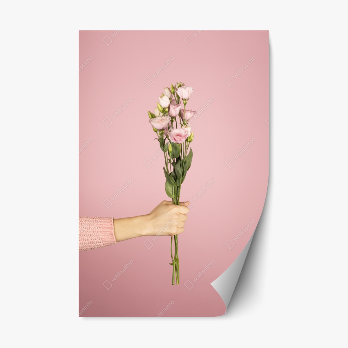 Pegatina reposicionable ramo rosa minimalista en fondo rosa – Pixers®