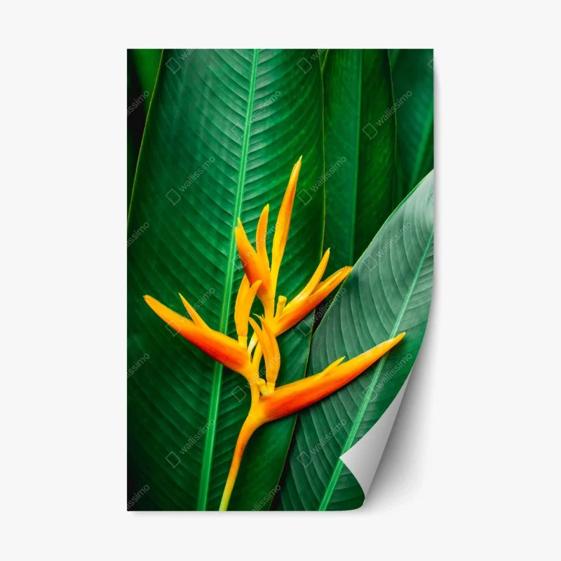 Pegatina reposicionable flor tropical vibrante sobre follaje verde