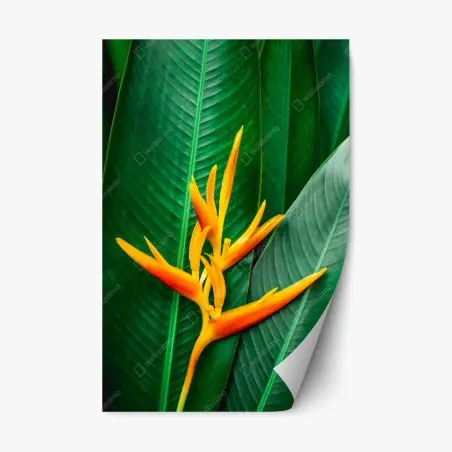 Pegatina reposicionable flor tropical vibrante sobre follaje verde – Pixers®
