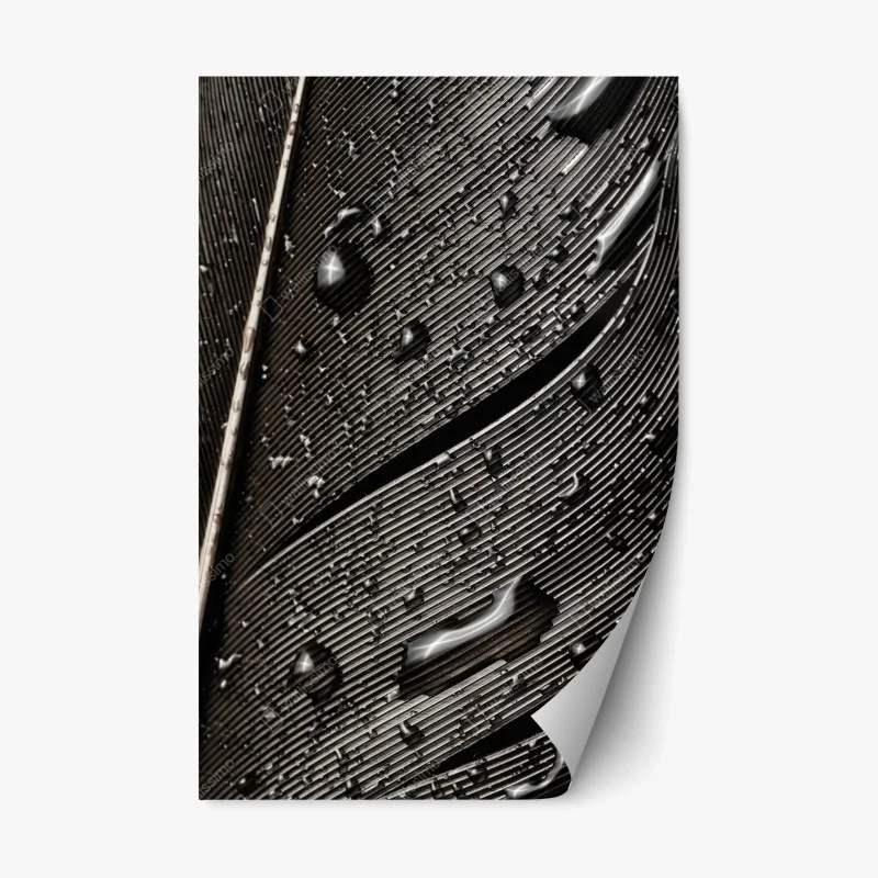Pegatina reposicionable textura de pluma en blanco y negro con gotas