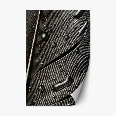 Pegatina reposicionable textura de pluma en blanco y negro con gotas – Pixers®