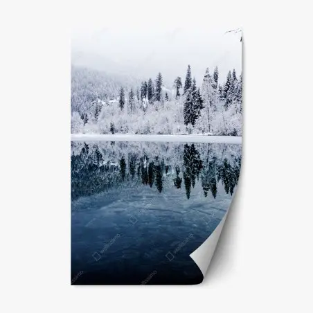 Pegatina reposicionable serenidad invernal: bosque nevado reflejado – Pixers®