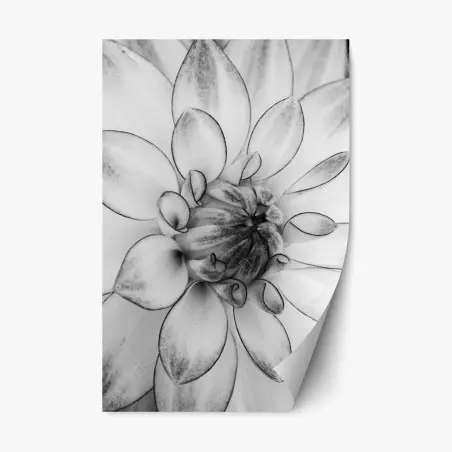 Pegatina reposicionable detalle floral en blanco y negro – Pixers®
