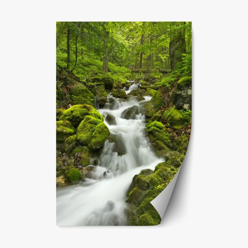 Pegatina reposicionable oasis de agua en Slovenský Raj