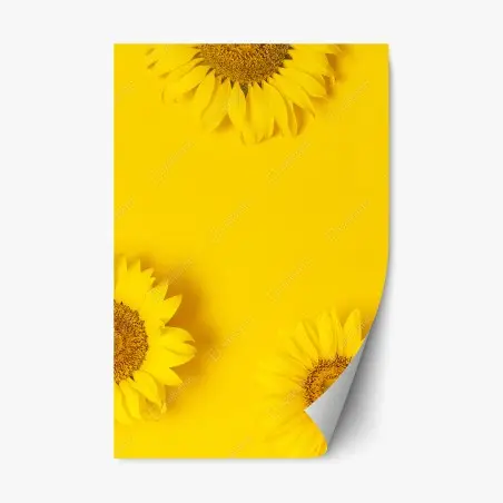 Pegatina reposicionable girasoles sobre fondo amarillo vibrante – Pixers®