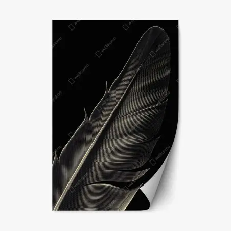 Pegatina reposicionable pluma en blanco y negro: detalle minimalista – Pixers®