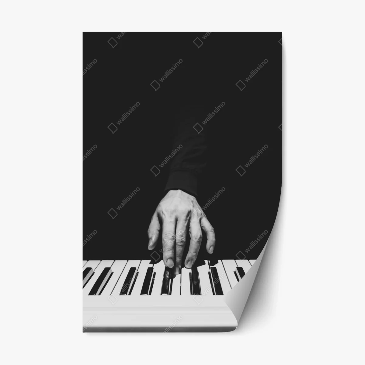 Pegatina reposicionable mano sobre teclas en blanco y negro – Pixers® Pegatina reposicionable mano sobre teclas en blanco y negro – Pixers®