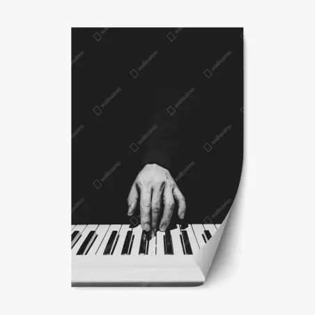 Pegatina reposicionable mano sobre teclas en blanco y negro – Pixers®