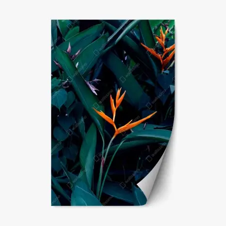 Pegatina reposicionable ave del paraíso entre hojas verdes profundas – Pixers®
