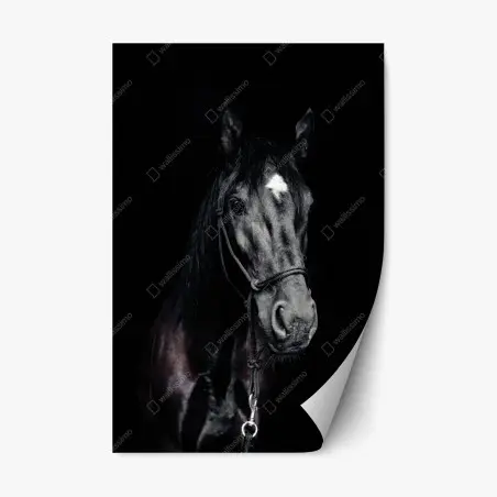 Pegatina reposicionable retrato majestuoso de caballo negro – Pixers®