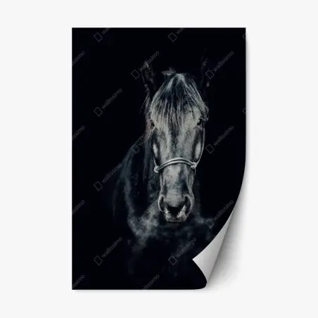 Pegatina reposicionable retrato majestuoso de un caballo negro – Pixers®