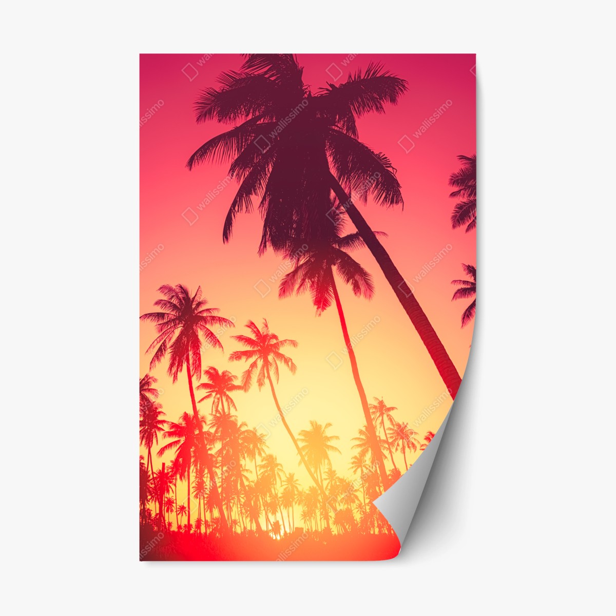 Pegatina reposicionable atardecer tropical entre palmeras – Pixers®