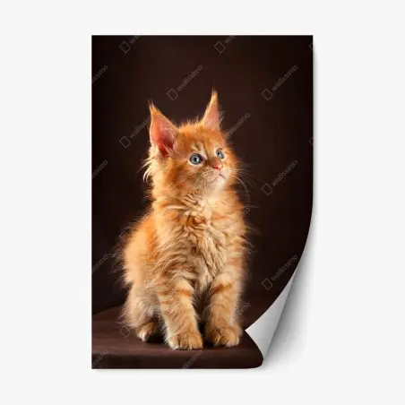 Pegatina reposicionable gatito naranja esponjoso con mirada curiosa – Pixers®