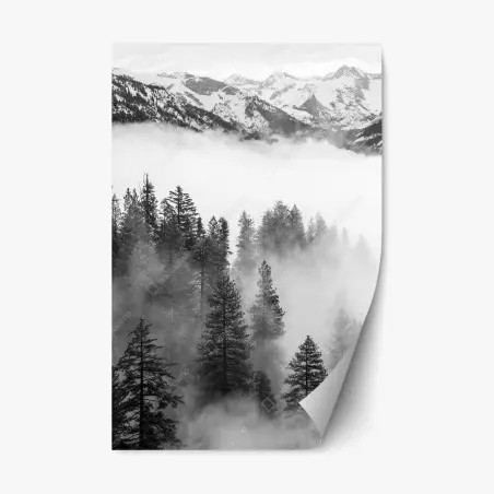 Pegatina reposicionable niebla entre secuoyas en Giant Forest, Sierra Nevada – Pixers®