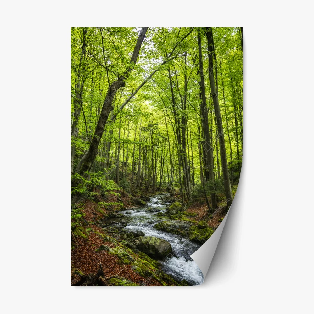 Pegatina reposicionable bosque esmeralda con arroyo – Pixers® Pegatina reposicionable bosque esmeralda con arroyo – Pixers®