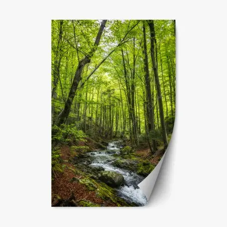 Pegatina reposicionable bosque esmeralda con arroyo – Pixers®