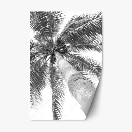 Pegatina reposicionable vértigo de palmera tropical en blanco y negro – Pixers®