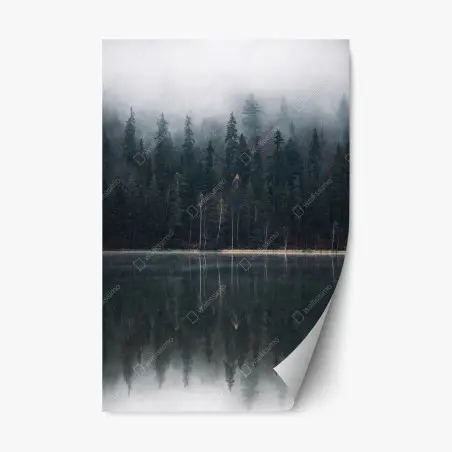 Pegatina reposicionable bosque brumoso reflejado en lago – Pixers®