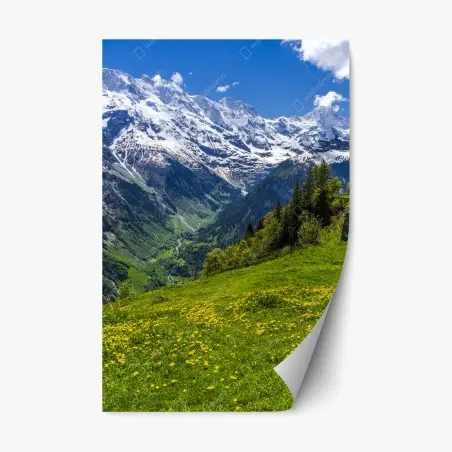 Pegatina reposicionable pradera alpina con flores y montañas nevadas – Pixers®