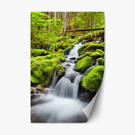 Pegatina reposicionable serenidad del arroyo en Sol Duc – Pixers®