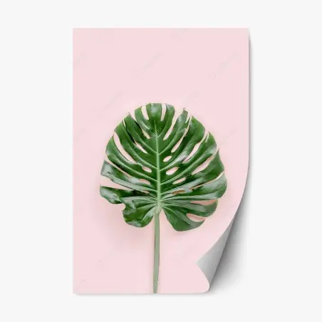 Pegatina reposicionable hoja de monstera sobre fondo rosa – Pixers®