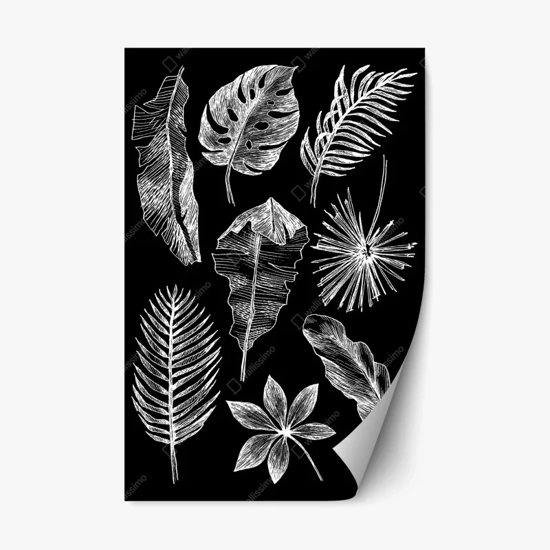 Pegatina reposicionable ilustración de hojas tropicales en blanco y negro