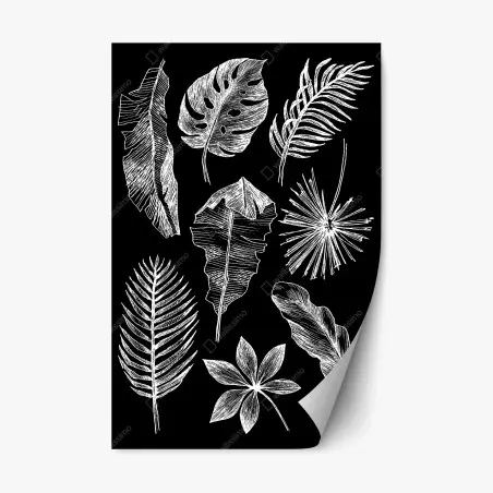 Pegatina reposicionable ilustración de hojas tropicales en blanco y negro – Pixers®