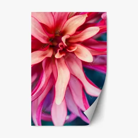 Pegatina reposicionable flor abstracta en tonos rosa y coral – Pixers®