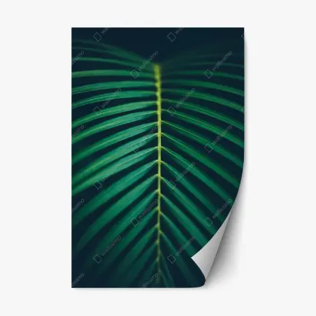 Pegatina reposicionable hoja de palma vertical minimalista – Pixers®