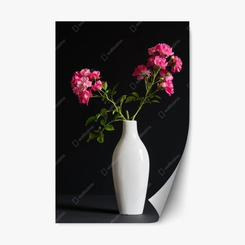 Pegatina reposicionable rosas fucsia en jarrón blanco sobre fondo negro