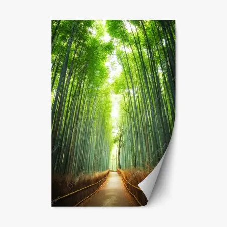 Pegatina reposicionable sendero entre bambúes en Arashiyama – Pixers®