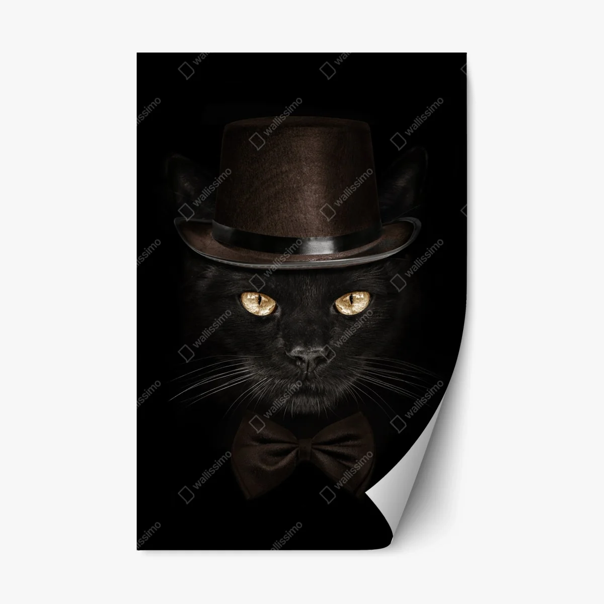 Pegatina reposicionable gato elegante con sombrero de copa y pajarita – Pixers® Pegatina reposicionable gato elegante con sombrero de copa y pajarita – Pixers®