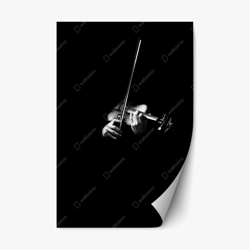 Pegatina reposicionable manos tocando violín en blanco y negro