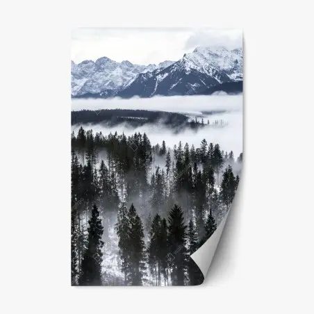 Pegatina reposicionable silencio invernal en las montañas Tatra – Pixers®