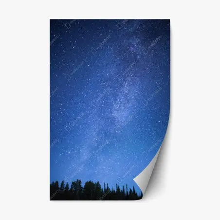 Pegatina reposicionable cielo estrellado sobre el bosque – Pixers®