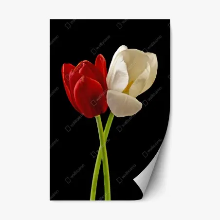 Pegatina reposicionable tulipanes entrelazados sobre fondo negro – Pixers®