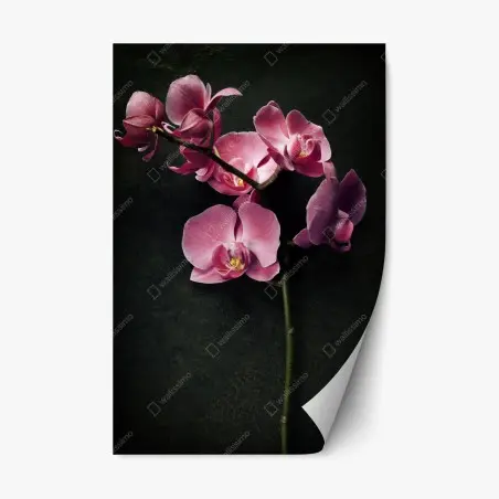 Pegatina reposicionable orquídea rosa sobre fondo vintage – Pixers®