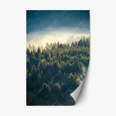 Pegatina reposicionable bosque de pinos en la niebla – Pixers®