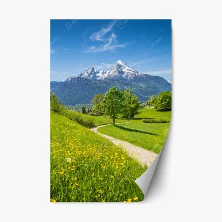 Pegatina reposicionable paisaje alpino con sendero entre prados floridos y picos nevados – Pixers®