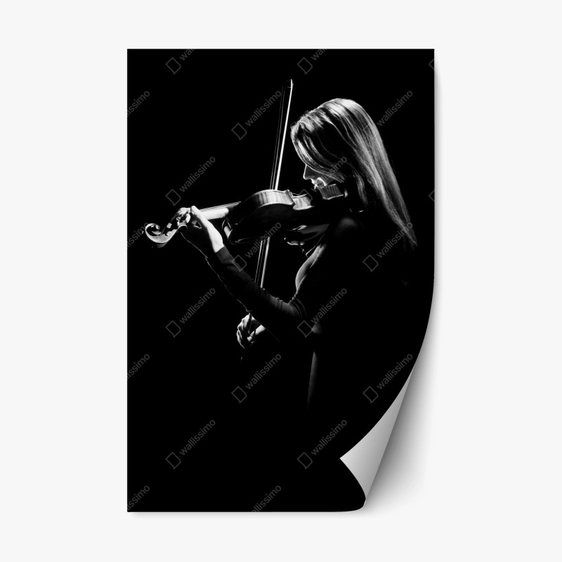 Pegatina reposicionable violinista en luz y sombra