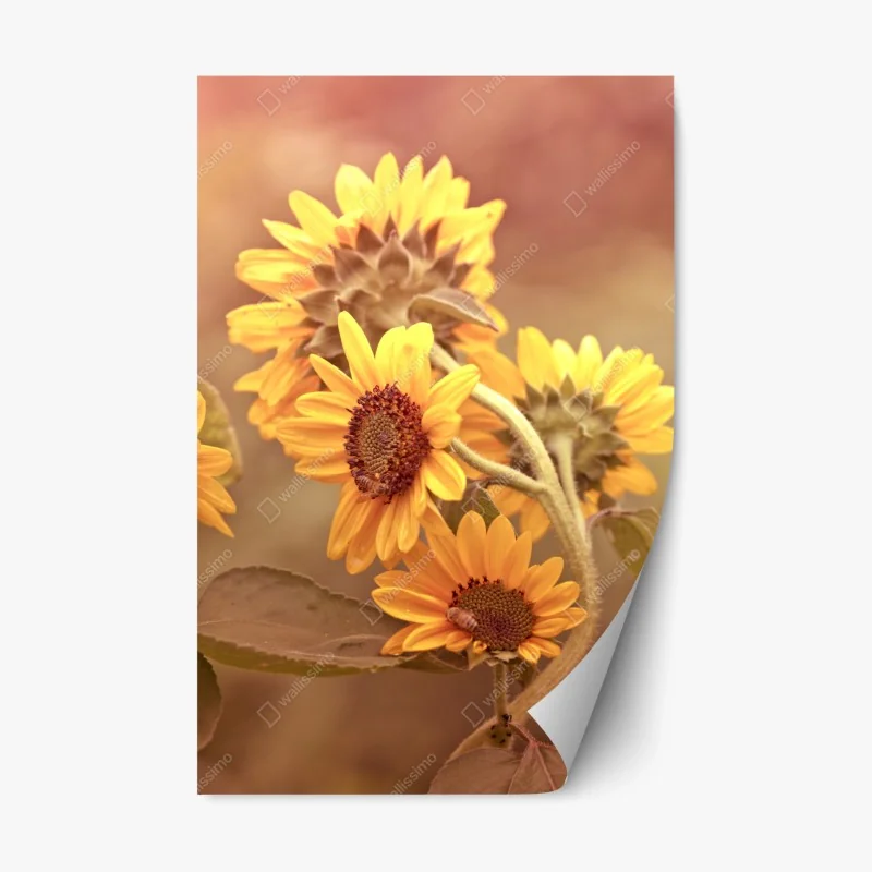 Pegatina reposicionable girasoles vintage en tonos cálidos