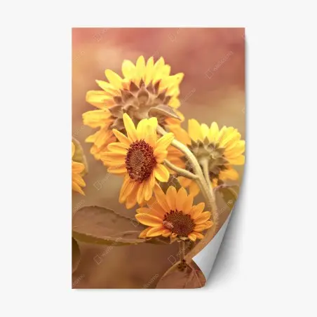 Pegatina reposicionable girasoles vintage en tonos cálidos – Pixers®