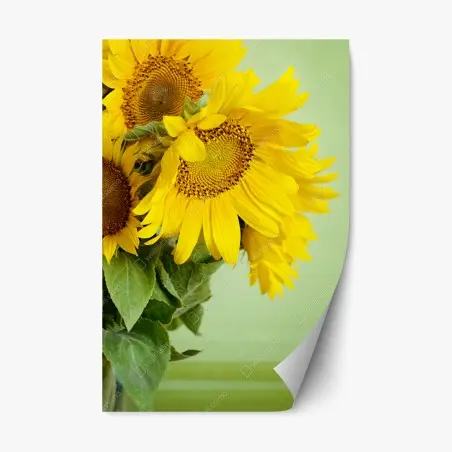 Pegatina reposicionable girasoles luminosos sobre fondo verde – Pixers®