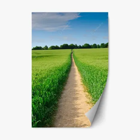Pegatina reposicionable camino entre campos verdes al horizonte – Pixers®