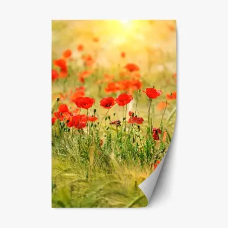 Pegatina reposicionable campo de amapolas al amanecer – Pixers®
