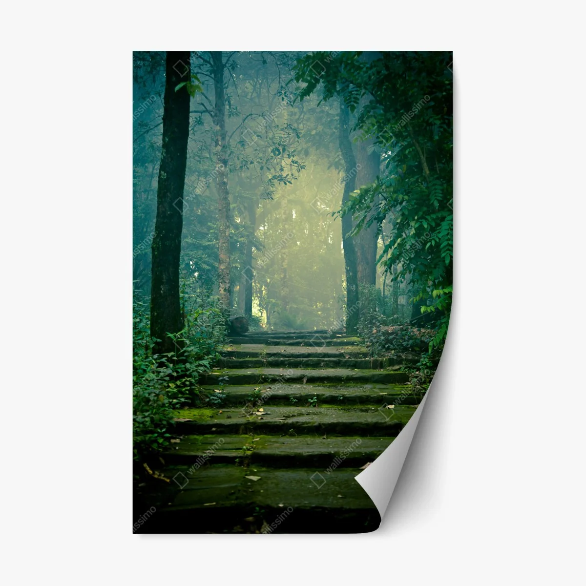 Pegatina reposicionable escalera de piedra hacia un bosque brumoso – Pixers® Pegatina reposicionable escalera de piedra hacia un bosque brumoso – Pixers®