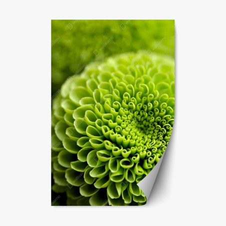 Pegatina reposicionable patrón botánico verde en espiral – Pixers®