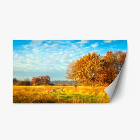 Pegatina reposicionable amanecer otoñal en la pradera – Pixers®
