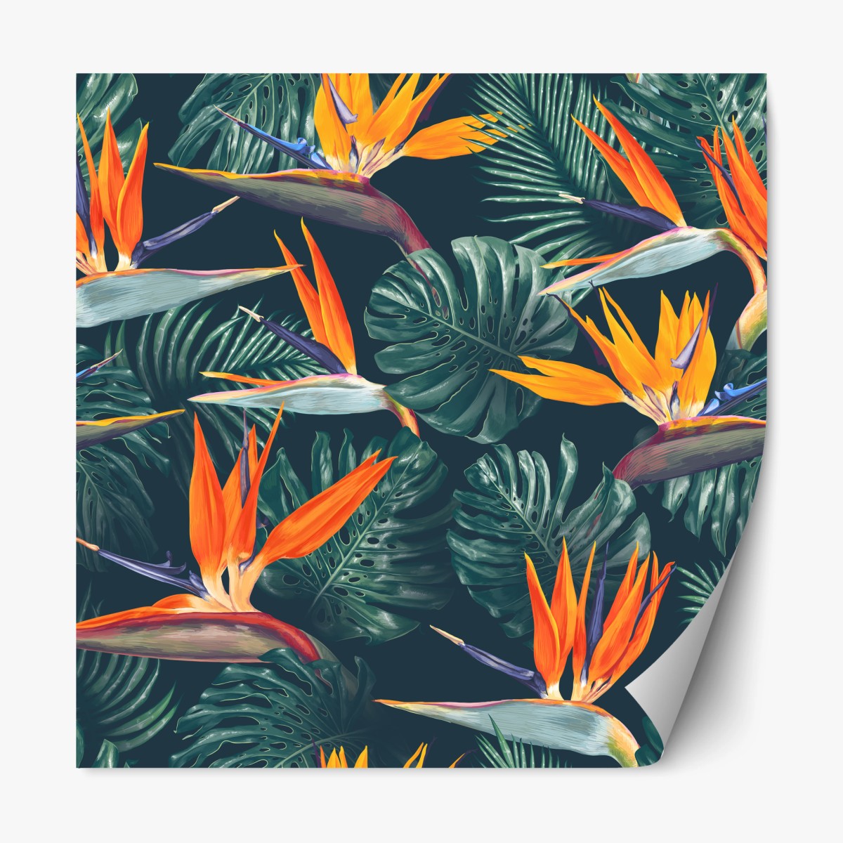 Pegatina reposicionable arte botánico tropical con aves del paraíso – Pixers®