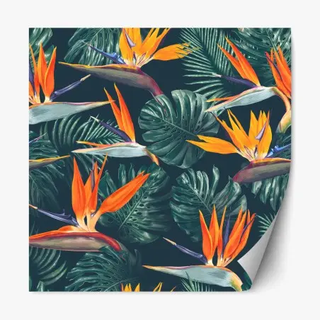 Pegatina reposicionable arte botánico tropical con aves del paraíso – Pixers®